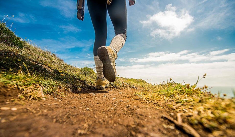 MEET OUR TEAM<br /> AND COMPANY